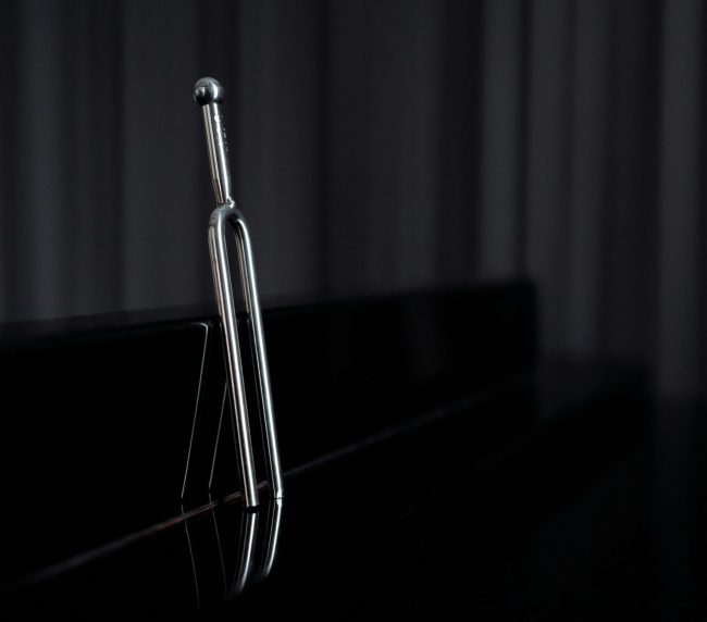 Tuning fork
